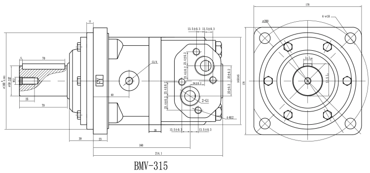 Hydraulikmotor, Ölmotor, Orbitmotoren BMV BM7 315, Welle: 40 mm