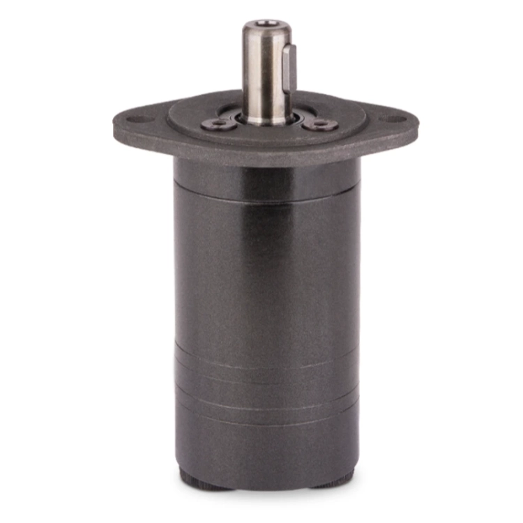 Hydraulikmotor, Ölmotor, Gerotormotor BMM, OMM, MAMMF 20 C - FOTO